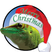 Kerst Gecko - Kinderen Basic Hanes T-Shirt