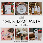 Kerst Llama Party Papieren servetten