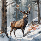 Kerstmis Noel kaart ontwerp