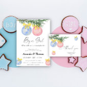 Kerstmis Geslacht onthullen Boy of meisje grafiek Poster