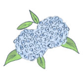 Blue Hydrangea Classic Coastal Vrijgezellenfeest Kaart