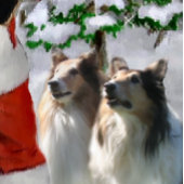 Collies en Kerstman Kerstmis Inpakpapier Vel