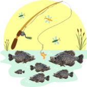 Cool Crappie Panfish Vist Mannen Inpakpapier Vel