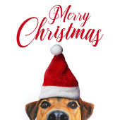 Nieuwsgierig Cute Funny Dog met Santa Hat Voedselcontainer Etiket