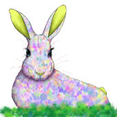  Bunny T-shirt met Bright Fun Pattern