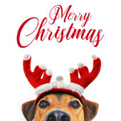 Kersthond Funny Cute Reindeer Antler Headband Feestdagenkaart