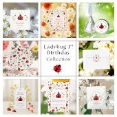 Lieve Lieveheersbeestje 1e Verjaardagssticker Ronde Sticker