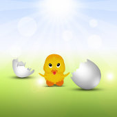 Kute Little Chick - Poster Print