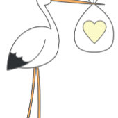 Baby shower groen geslacht neutraal satijnen lint