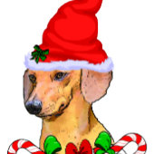 Dachshund Kerstmis Schort