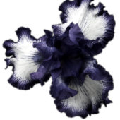 Donkere Paarse minimalistische stralingsdrager met Servet