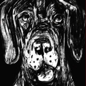 Great Dane Regal Pattern Inpakpapier Vel