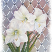 EENVOUDIGER BEHOUDEN ... OVALE STICKER