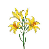 Elegant Green Lilies Acryl Uitnodigingen