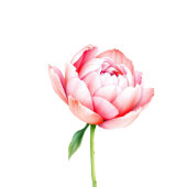 Elegant Green Love Thanks Vierkante Sticker