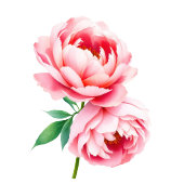 Elegant Green Floral Beverage Menu Acryl Bord