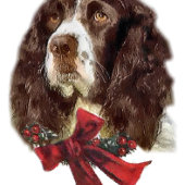 Engelse Springer Spaniel Kerstmis Kleine Kerstsok