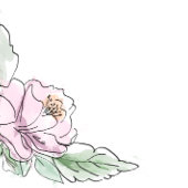 Note Cards Elegant Flat Modern Botanical Briefkaart