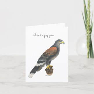 Collection Falcon  Note Card Kaart