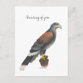 Collection Falcon Post Card Briefkaart (Voorkant)