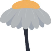 Eerste Verjaardagsfeestje Kamille Bloem Schattige  Poster