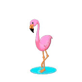 vun flamingos en groene wijnstokken teenslippers