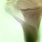 Weddenwijn Hartelijk dank Etiket