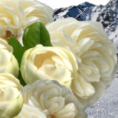 Perzik Waterverf Pioen Bruiloft Papier Servetten