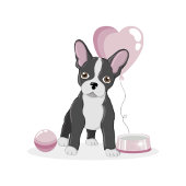 Franse Bulldog Birthday Satijnen Lint