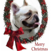 Franse kerstcadeautjes met Bulldog Stropdas