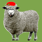 Grappig kerstfeest pingpongbal