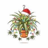 Rubber Plant Ficus Santa Hoed Kerstverlichting