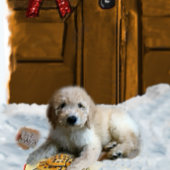 Goldendoodle kerstcadeaus ornament kaart