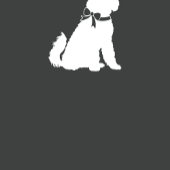 Goldendole Dog Baby shower Boy Blue Bedankdoosjes