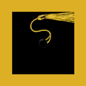 Graduation Party Pokerkaarten