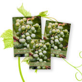 Green Grapes Vineyard Hartelijk dank Bedankkaart