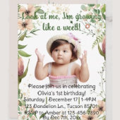 Groeien als een wiet, Delicate Botanical, Romper