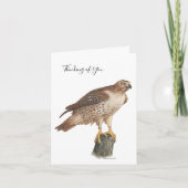 Collection Hawk Note Card Feestdagen Kaart (Voorkant)