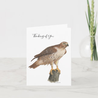 Collection Hawk Note Card Feestdagen Kaart