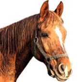 Happy Birthday Horse Back Riding  Animal Kind T-shirt