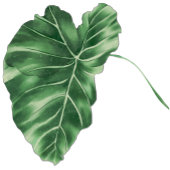 Oerwoud waterverf tropische groene bladeren servet