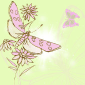 Lemon Limoen Roze Butterfly Button