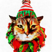 Het Schort van Lil Luv