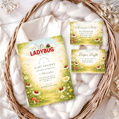Little Ladybug Meadow Celebration Diapper Raffle Informatiekaartje