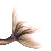 Zeemeermin Glam Tail | Dusty Ice Blue Sheen Bedank Ronde Sticker