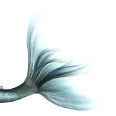 Zeemeerminschaal | Dusty Ice Blue Sheen Luster Kerstboom Rok