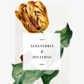 Moderne Botaical Tulip Wedding Suite Details Informatiekaartje