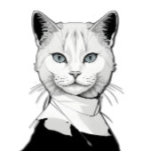 Mystieke zwart-witte kat van Salem Legpuzzel