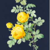 Marinewoud en Gele rozenroodbruin Kaart