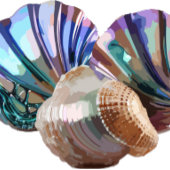 Pareltjes in de oceaan hoodie